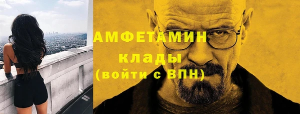 молекула духа Богородск