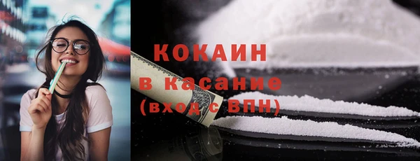 молекула духа Богородск