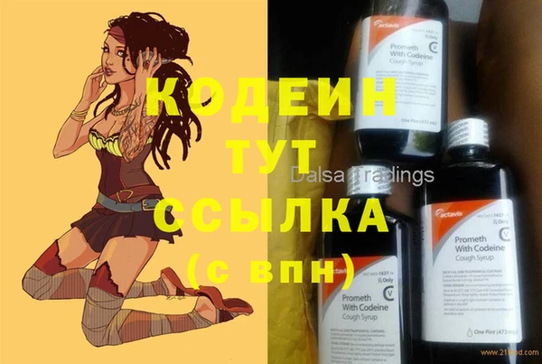 молекула духа Осинники