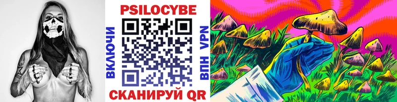 мега ТОР Великий Новгород Псилоцибиновые грибы прущие грибы закладки